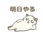 856813946