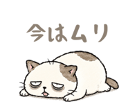 856813948