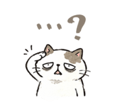 856813949