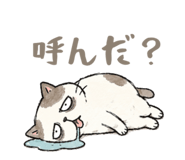 856813950