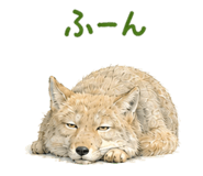 856813955