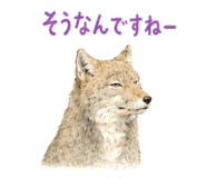 856813960