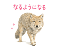 856813987