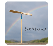 856814548