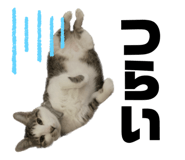 856814579