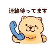 856814797