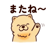 856814800