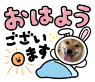 856814825