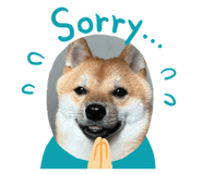 856814832