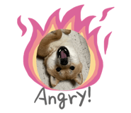 856814837