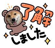 856814838