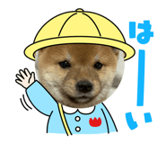 856814842