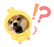 856814850