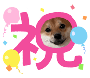 856814856