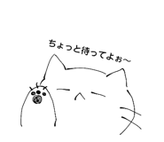 856815545