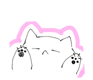 856815547