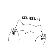 856815554