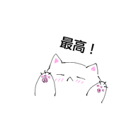 856815556