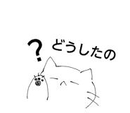 856815557