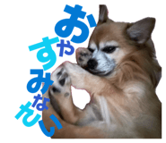 856815602