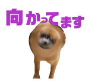 856815615