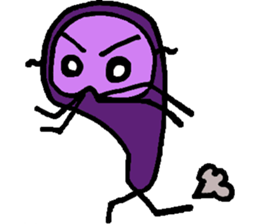 8568157