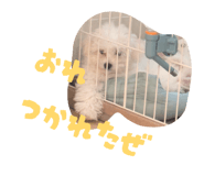 856816021