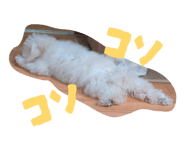 856816023