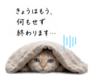 856816160