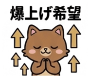 856816561