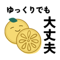 856817092