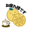 856817093