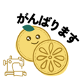 856817094