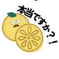 856817096