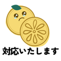 856817098