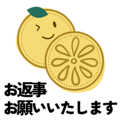 856817100