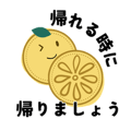 856817102