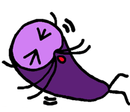 8568173