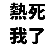 856818575