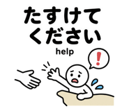 856818960