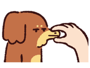 856819701