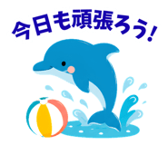856821562