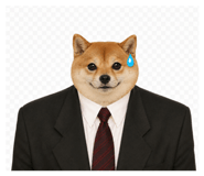 856821880