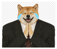856821882