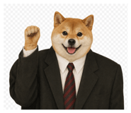 856821885