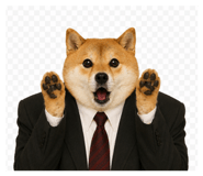 856821890