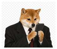 856821894