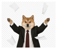 856821900