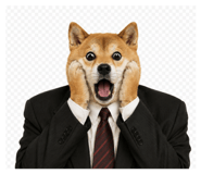 856821904