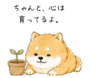856822073